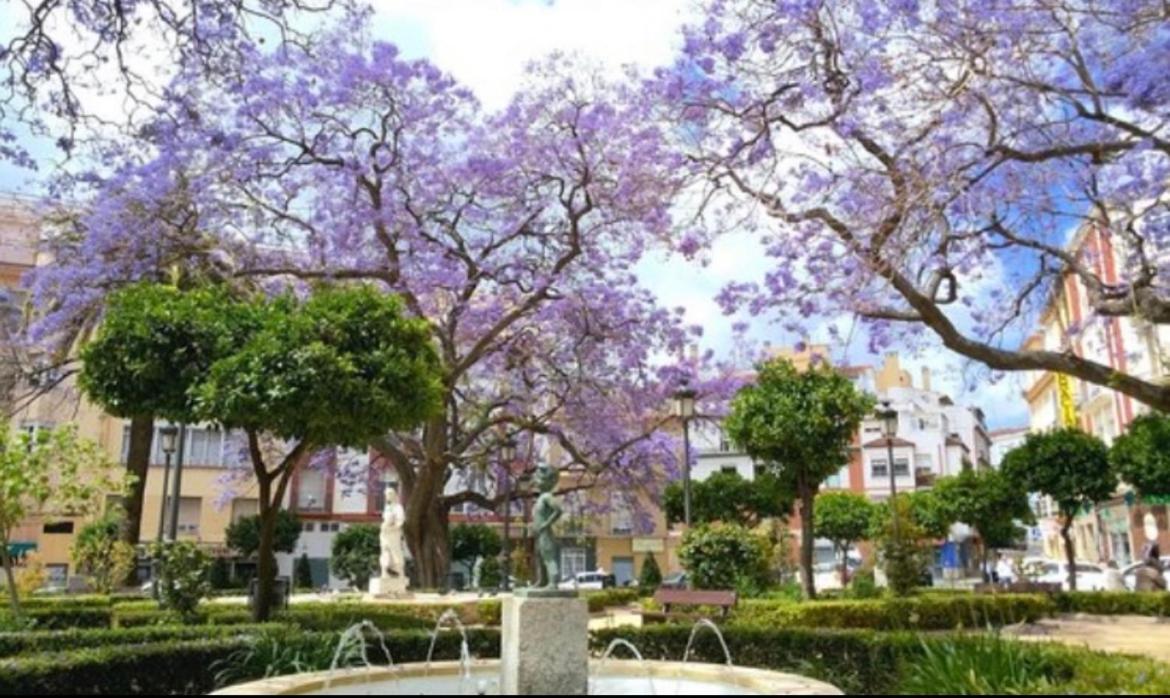 말라가 Historical Center Ollerias 아파트 외부 사진